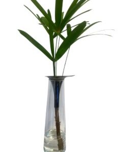 Alternative view of VASO VIDRO COM DETALHE NIQUEL BLACK