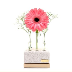 VASO CONCRETO 9 TUBINHOS BASE DOURADA