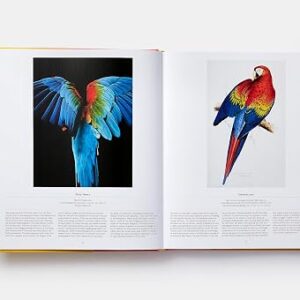 Alternative view of LIVRO BIRD: EXPLORING THE WINGED WORLD