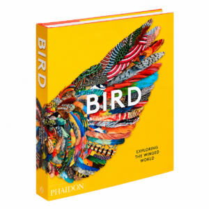 LIVRO BIRD: EXPLORING THE WINGED WORLD