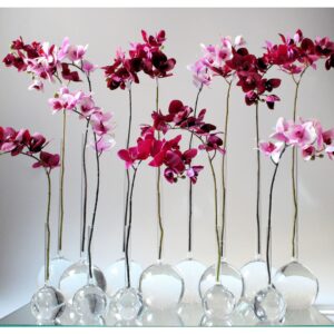 Alternative view of VASO BALÃO P