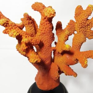 Alternative view of ALGA DECORARIVA DE RESINA 18CM X 13CM X 23,5C