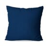 ALMOFADA RUSTICA AZUL LISA 52X52