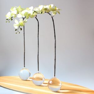 Alternative view of VASO BALÃO G