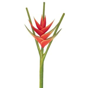 HELICONIA VM/LARANJA, 113CM