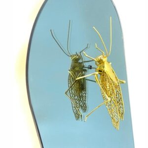 Alternative view of ESPELHO  OVAL GAFANHOTO