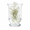VASO VIDRO  HURRICANE ( D14 A25 )