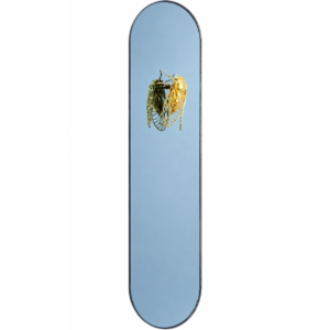 Espelho Oval Decorativo Cigarra com Moldura Preta Moderna