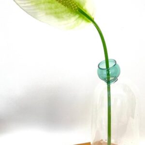 Alternative view of Vaso  vidro transparente detalhe verde