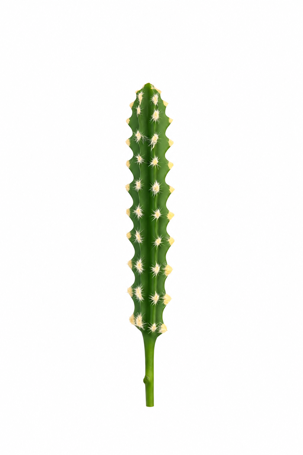 Cacto Artificial Decorativo Verde para Arranjos (M)