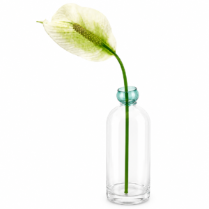 Vaso  vidro transparente detalhe verde