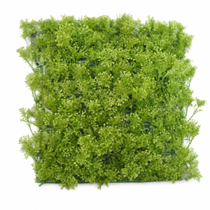 MUSGO PLANTA 5CM X 78, PLACA 30X27CM