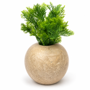 Alternative view of VASO GRANDE