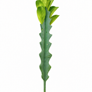 Cacto Artificial Seeds Decorativo Pequeno para Arranjos