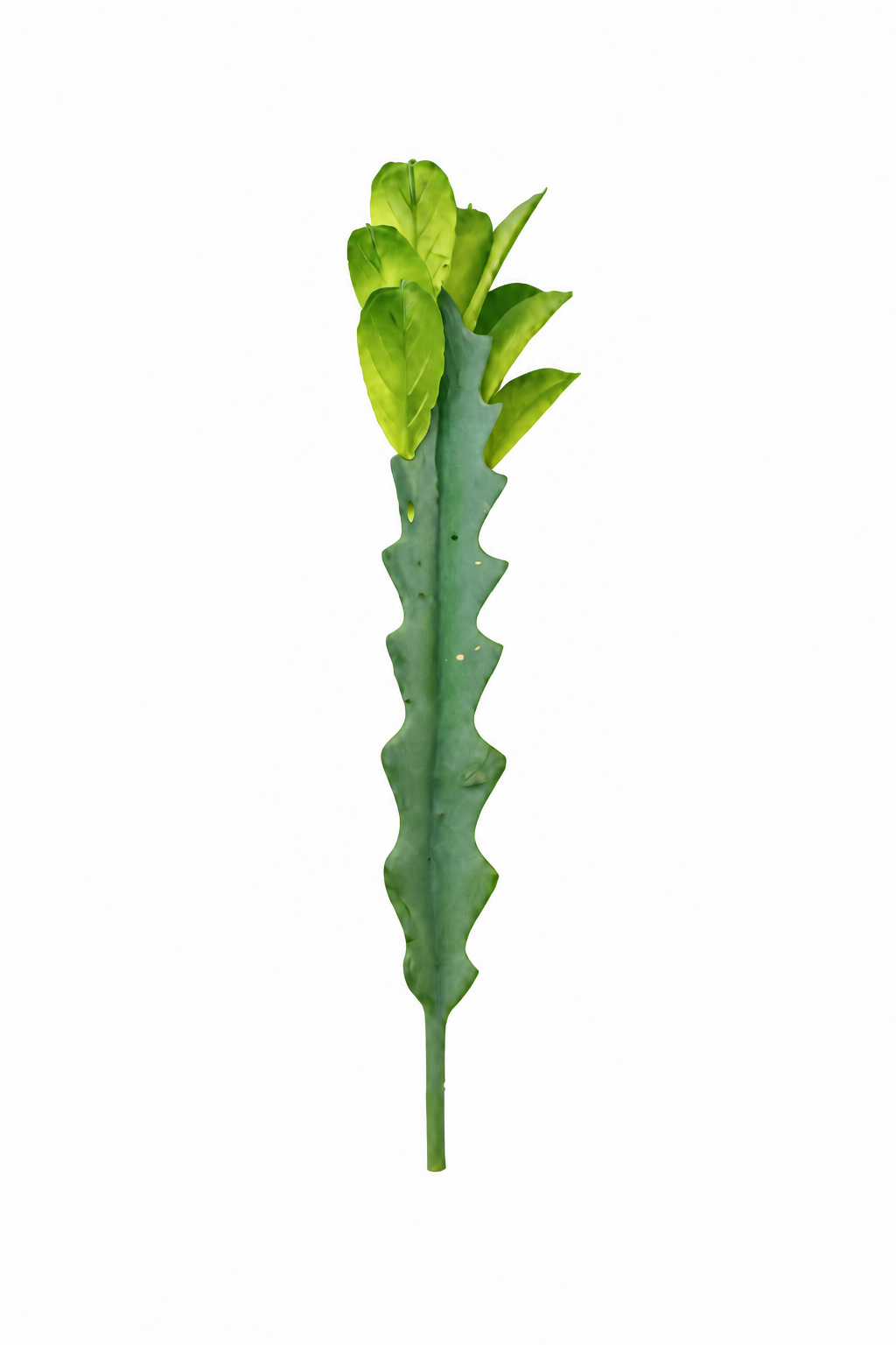 Cacto Artificial Seeds Decorativo Pequeno para Arranjos