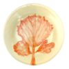 PRATO SOBREMESA DE CORAL AQUARELADO