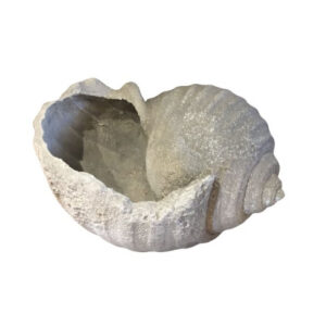 CONCHA PEDRA NATURAL GG -