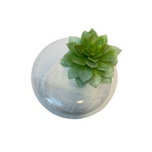 Alternative view of VASO VIDRO REDONDO 1 FURO