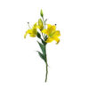 FLOR LIRIO TIGRE AMARELO