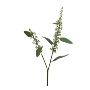 FOLHAGEM EUCALIPTO BERRIES GALHO