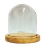 Redoma  Base Madeira  P