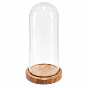 Redoma de Vidro com Base de Madeira G