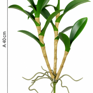 Alternative view of FOLHAGEM DECORATIVA  DENDROBIUM