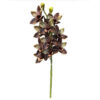 ORQUIDEA CYMBIDIUM  ROXA