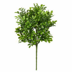 BUQUE FOLHAGEM BUXUS VERDE