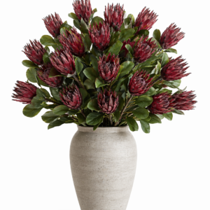 Alternative view of FLOR PROTÉIA  OUTONADA VINHO