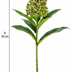 Alternative view of FLOR HASTE SEMENTE LIGUSTRO VERDE