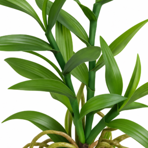 Alternative view of FOLHA DECORATIVA  DE ORQUIDEA TOQUE REAL