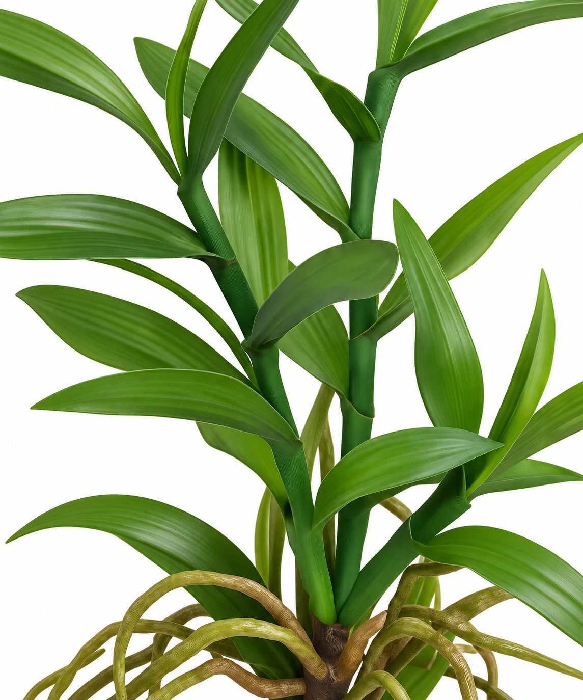 FOLHA DECORATIVA DE ORQUIDEA TOQUE REAL - Imagem 2