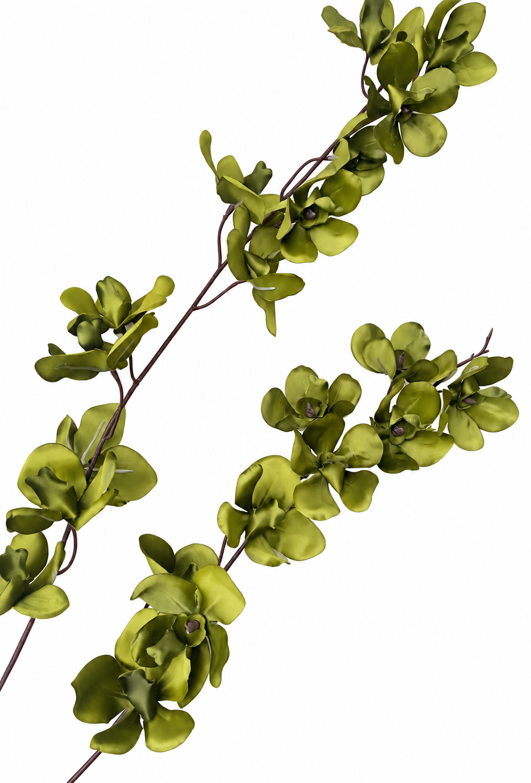 FLOR ORQUIDEA VANDA COM 22 FLORES VERDE - Imagem 4