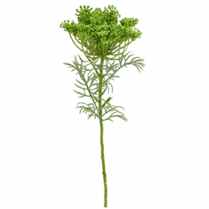 FLOR DE CENOURA VERDE ARTIFICIAL DECORATIVA PARA ARRANJO