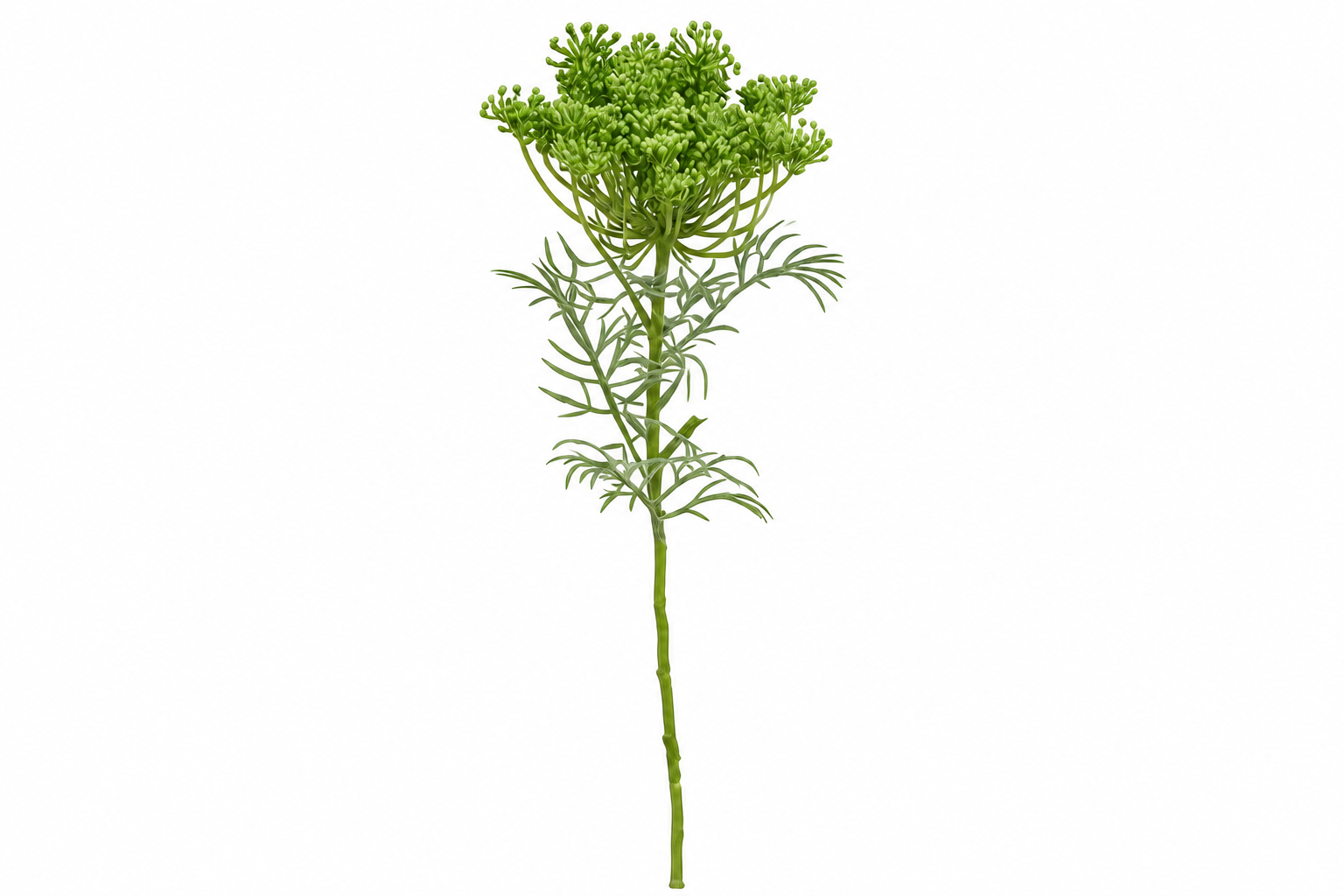 FLOR DE CENOURA VERDE ARTIFICIAL DECORATIVA PARA ARRANJO