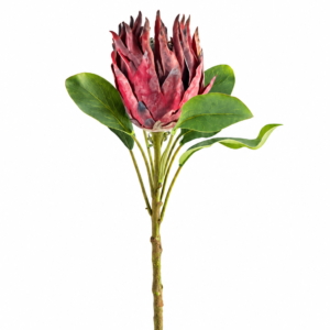 FLOR PROTÉIA  DECORATIVA OUTONADA VINHO