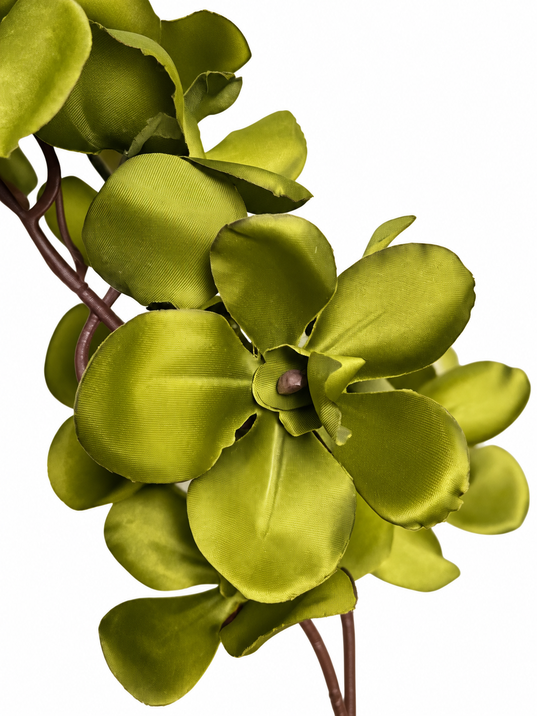 FLOR ORQUIDEA VANDA COM 22 FLORES VERDE - Imagem 3