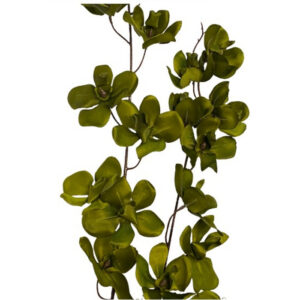 Alternative view of FLOR ORQUIDEA VANDA  COM 22 FLORES VERDE