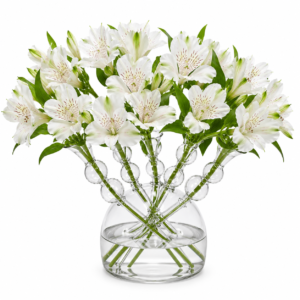 Alternative view of VASO TULIPEIRA VIDRO
