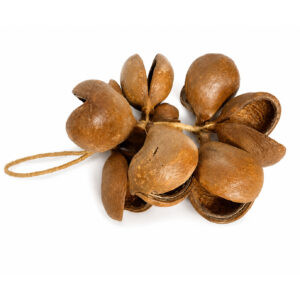 COLAR DE SEMENTES NATURAIS